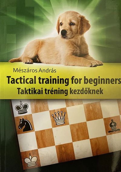 Tactical Training for Beginners