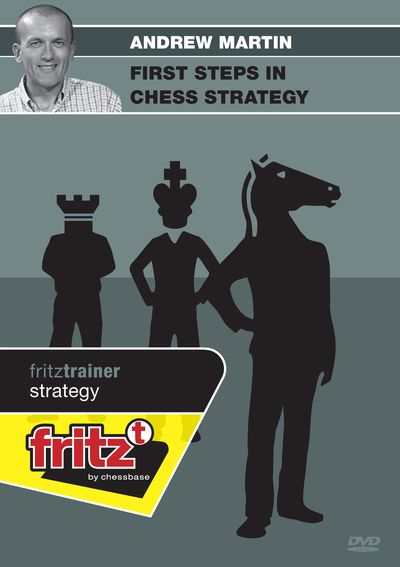 First steps in chess strategy