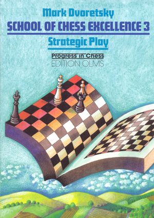 Used School of Chess Excellence 3, Strategic Play